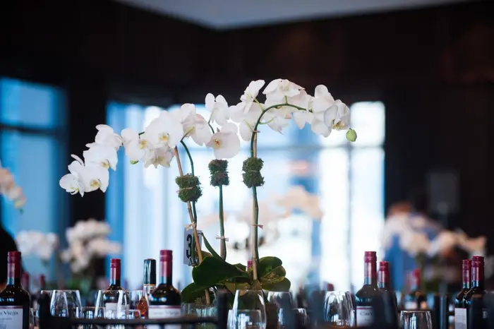 2015 10th Anniversary Gala, photo 1