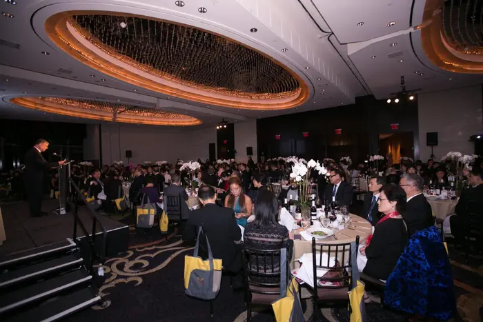 2015 “Raise Me Up” Gala, photo 31